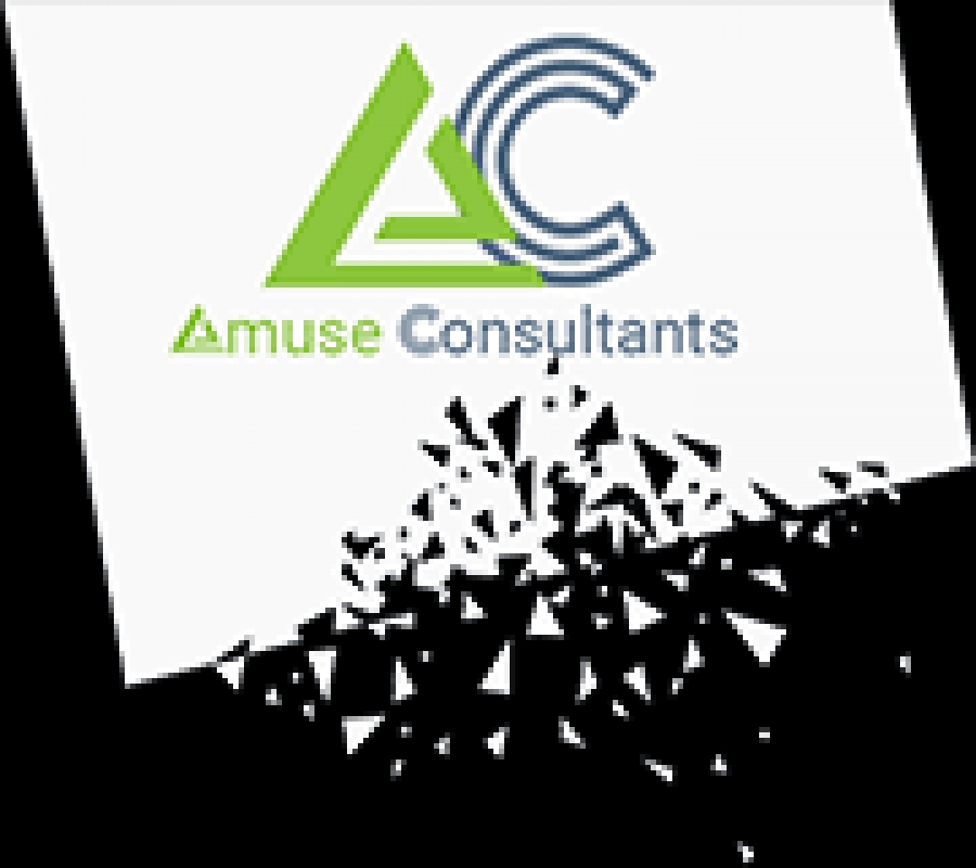 Amuse Consultants